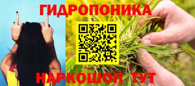 винт Лесосибирск